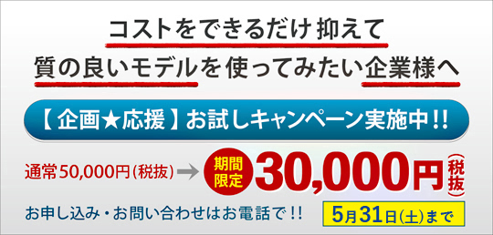 コストをできるだけ抑えて質の良いモデルを使ってみたい企業様へ